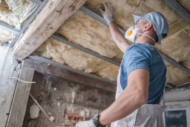 Best Spray Foam Insulation  in Three Oaks, MI