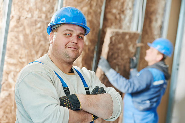 Best Insulation Inspection Services  in Three Oaks, MI