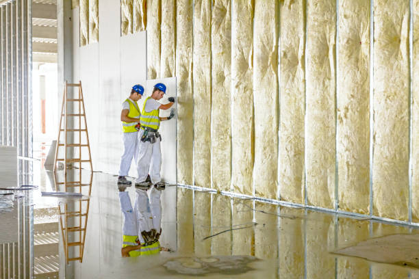 Best Affordable Insulation Services  in Three Oaks, MI